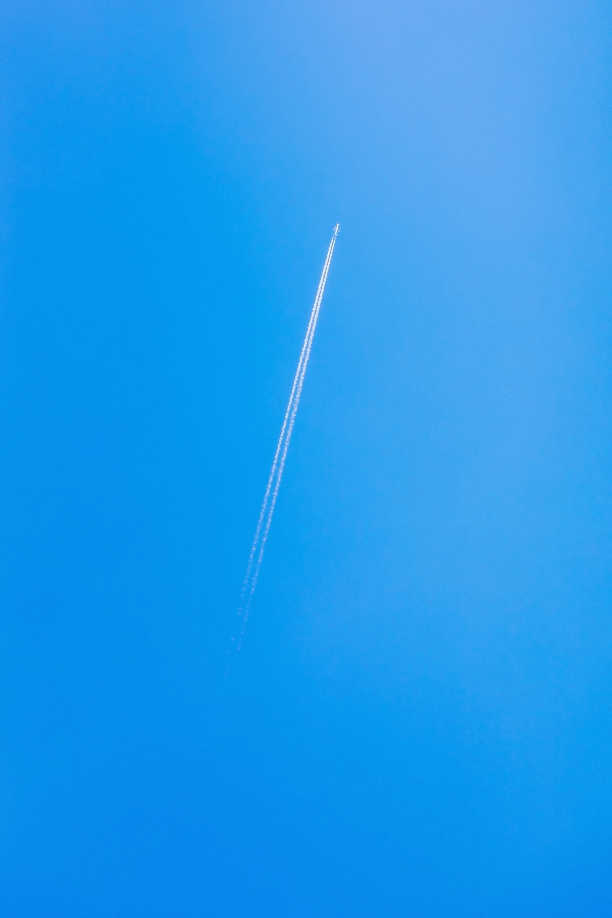 _op_5419.jpg